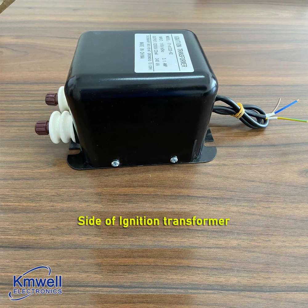 110/220V Oil Gas Burner Ignition Transformer for Boiler High Voltage 6000V-6000V Ignition Transformer