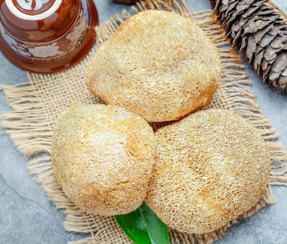 Organic Lions Mane Mushroom extrair maior Mane Pó de cogumelo comida de Saúde