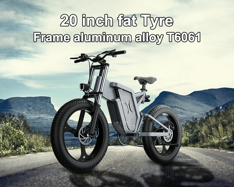 Bicicleta eléctrica aleación de aluminio T6061 neumático de grasa 7 velocidad E Motocicleta bicicleta eléctrica