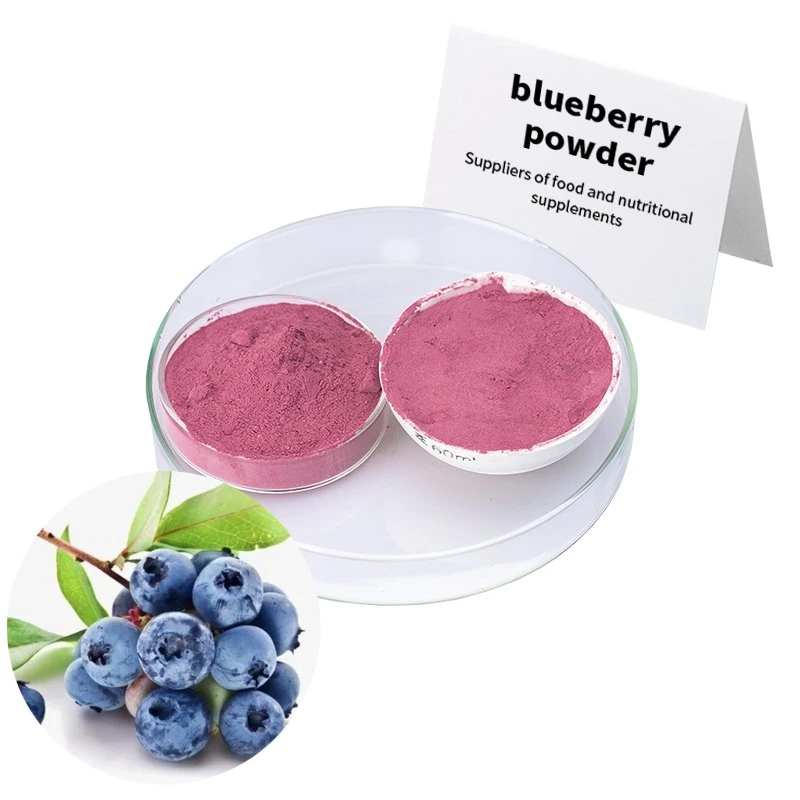 الصحة الرؤية وعين الصحة وجبات Anthocyanins Bluebberry Powder