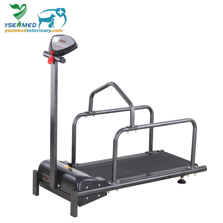 Equipo médico Veterinario Pet Treadmill para Perros Treadmill Ysvet-TM100