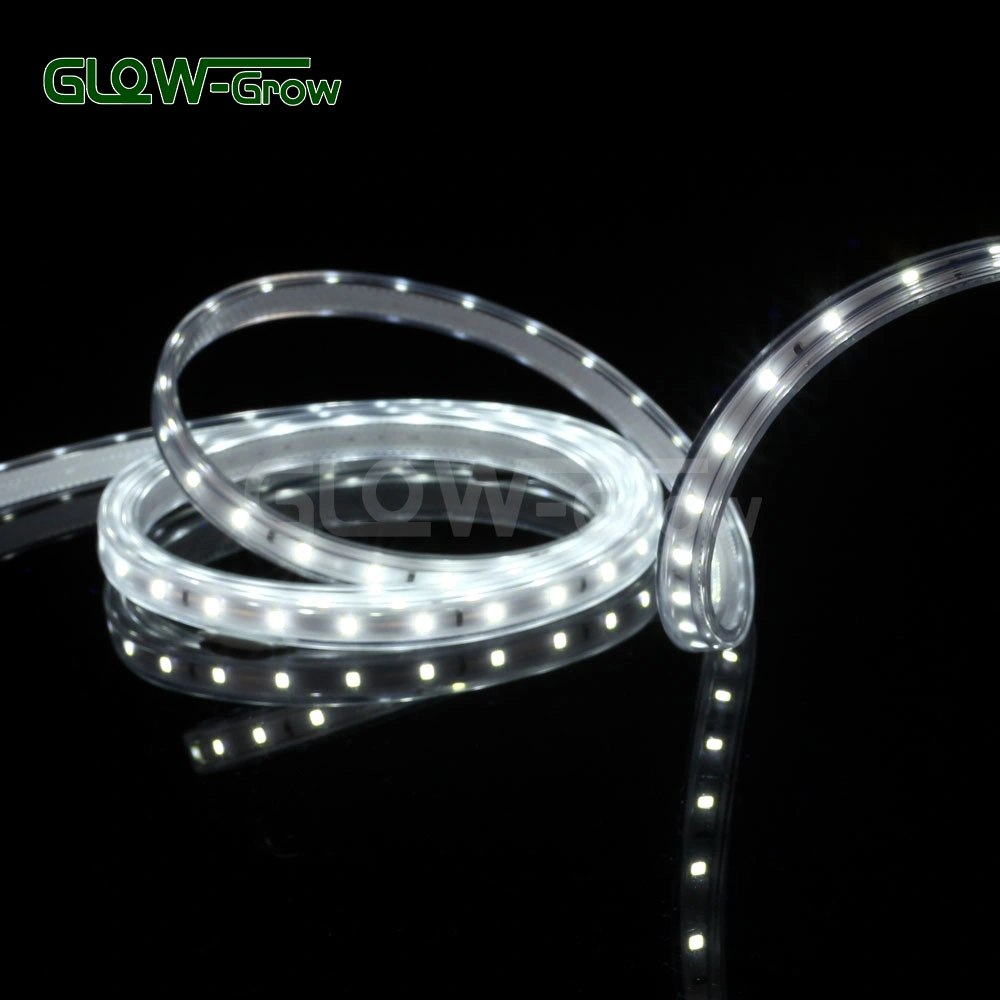 230V IP65 Luz de tira de LED impermeable 60LED/M para decoración exterior