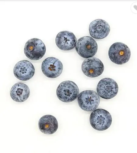 Good Taste IQF Fresh Blueberry Whole Frozen Fruits IQF Frozen Fruits