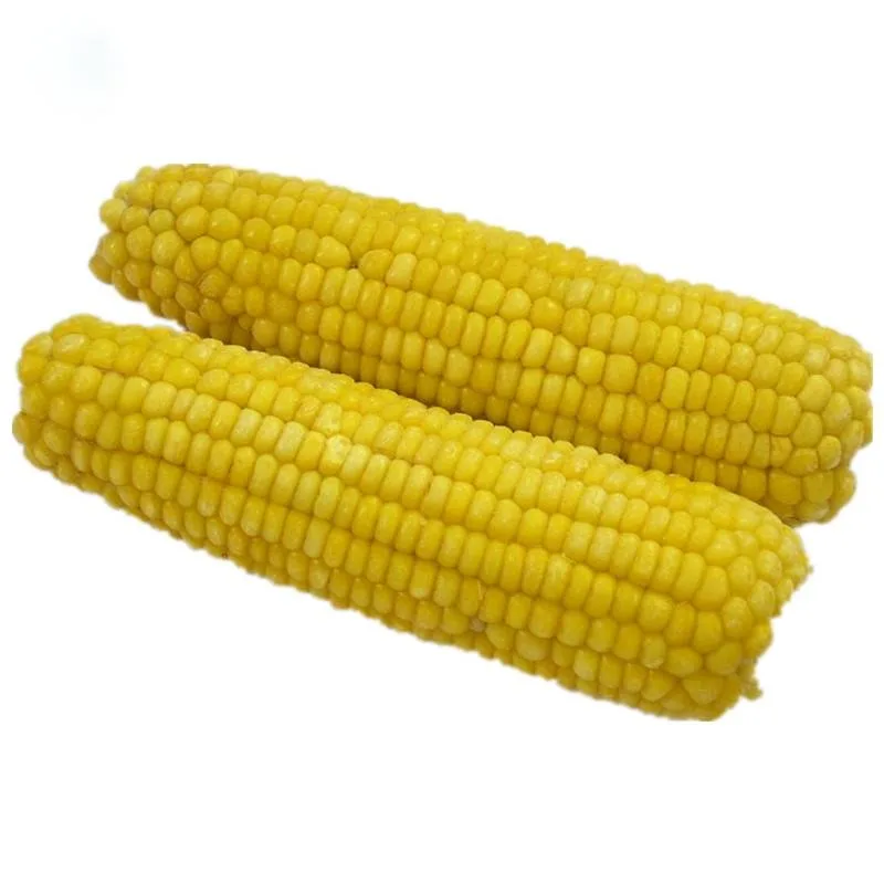 Mushroom Popcorn Kernels Corn Rich in Various Nutrients Corn Popcorn