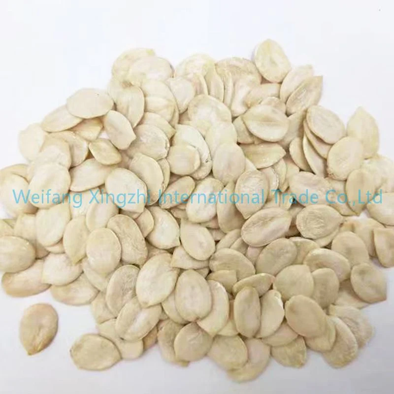 Large Size Watermelon Seeds Cheap Price Melon Seeds Without Shell