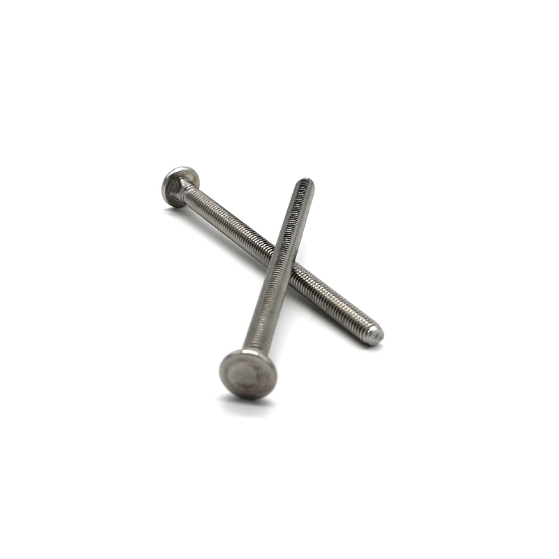 Ss Round Head Stainless Steel Carriage Bolts Coach Fastener Square Neck Round Head Nut Bolt