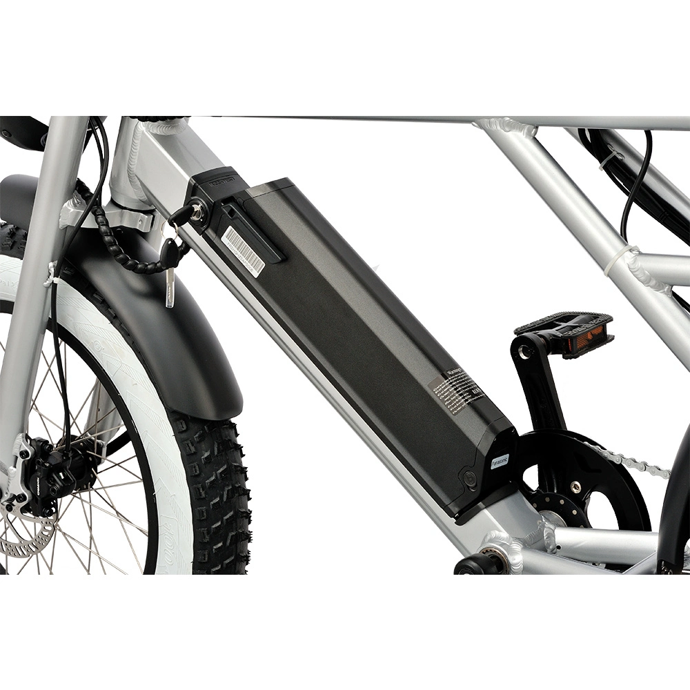 2022 Nuevo diseño 20 pulgadas Cheap eBike 500W Fat Tire Bicicleta de Montaña Eléctrica con CE