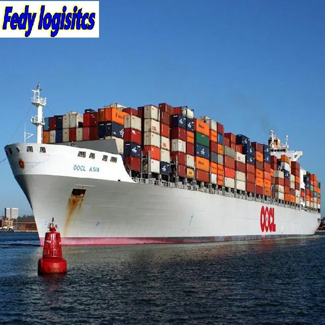 Seelogistik Versand Spediteur Agent aus China FCL / LCL zu Fidschi/Neuseeland/Cookinseln/USA Air Cargo Shipping Express UPS Delivery Versand durch Amazon Amazon