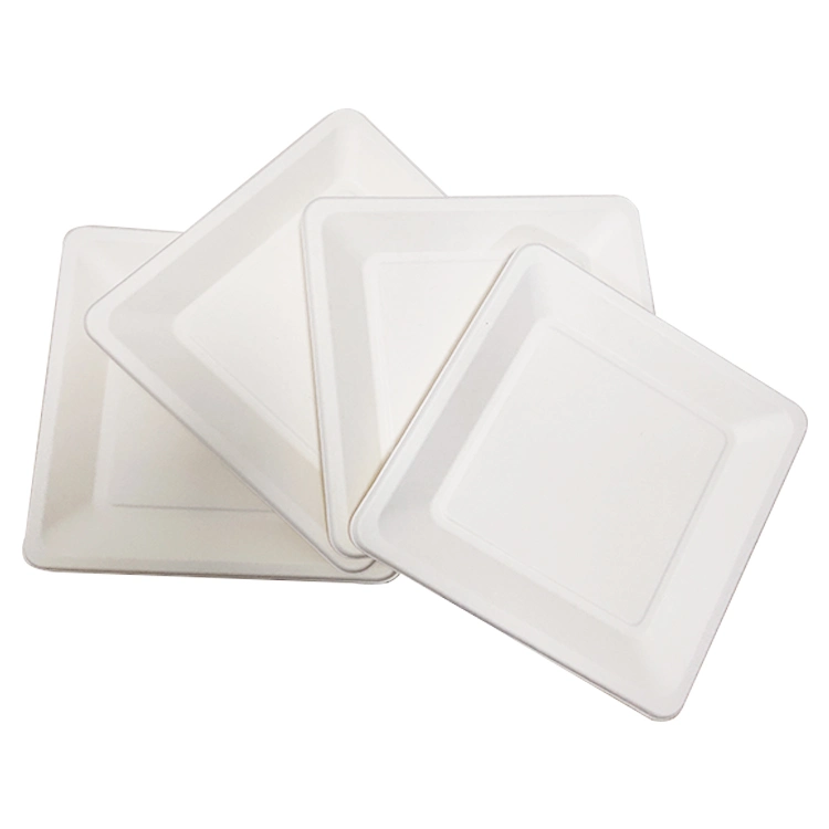 2023 New Products Popular Disposable Paper Plates Dinner Dish Tableware