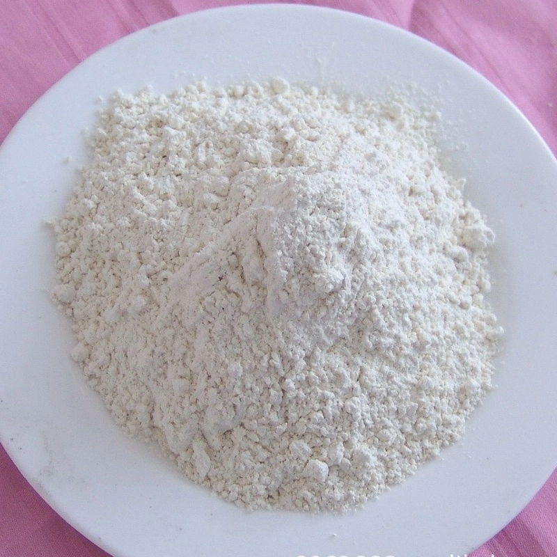 Food Additives Seasoning Dried Wholesale Pure White Dehydrated Garlic Powder