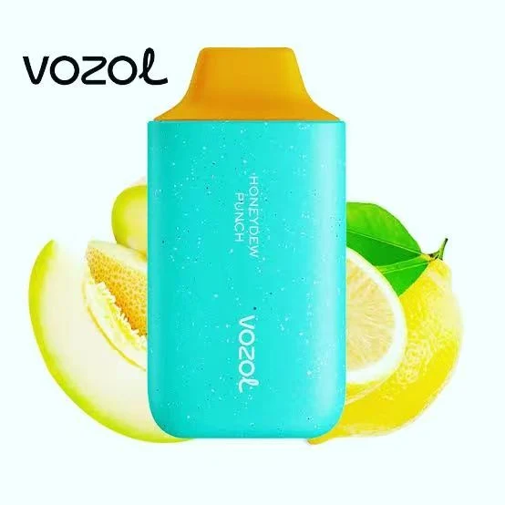 The Vozol Star 6000 Is a Disposable/Chargeable Device Pre-Filled with 14ml of Nicotine Salt E-Liquid Wholesale/Supplier Vape