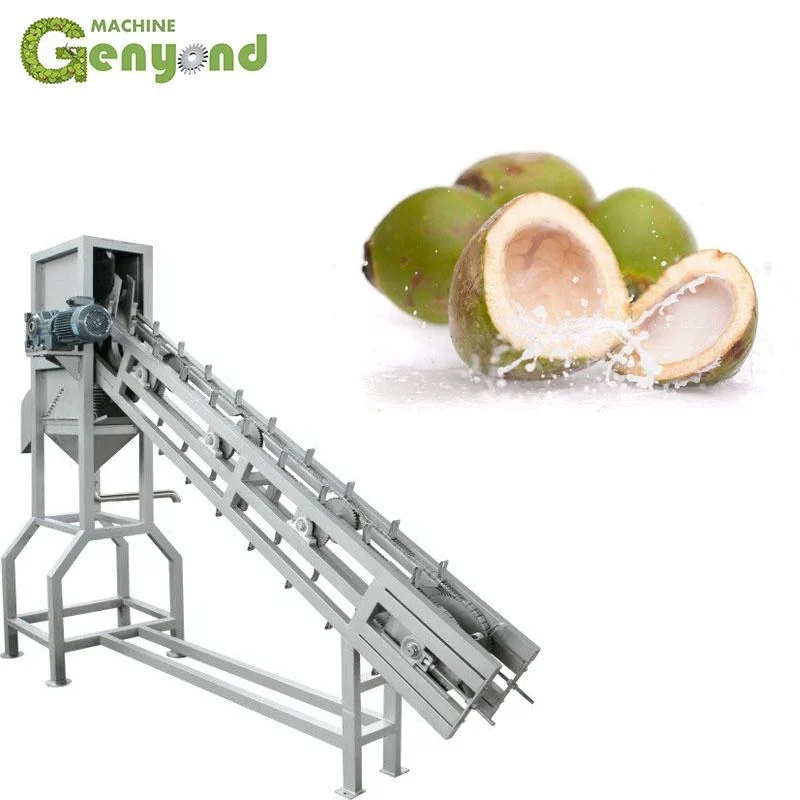 Chaîne de production/usine de traitement du lait de coco complète