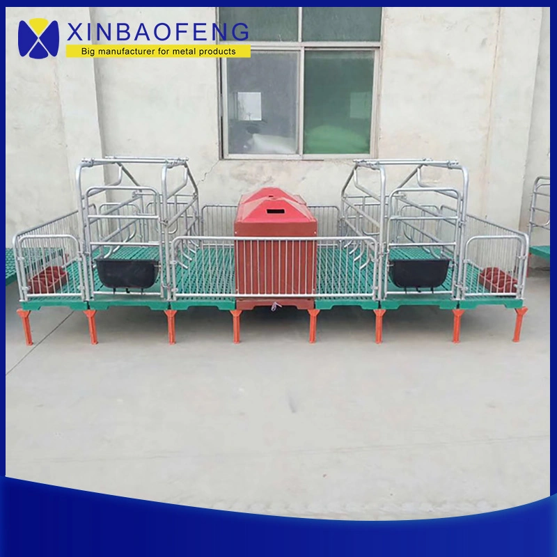 Factory Modern Automatic Swine Pig Farming Equipment with Steel Strucutre Building