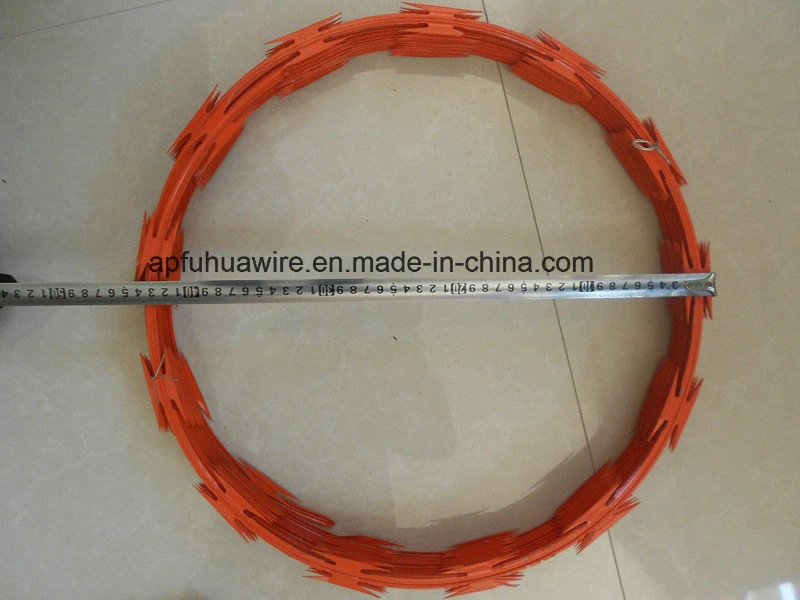 Cbt65 Single Coil Razor Barbed Wire