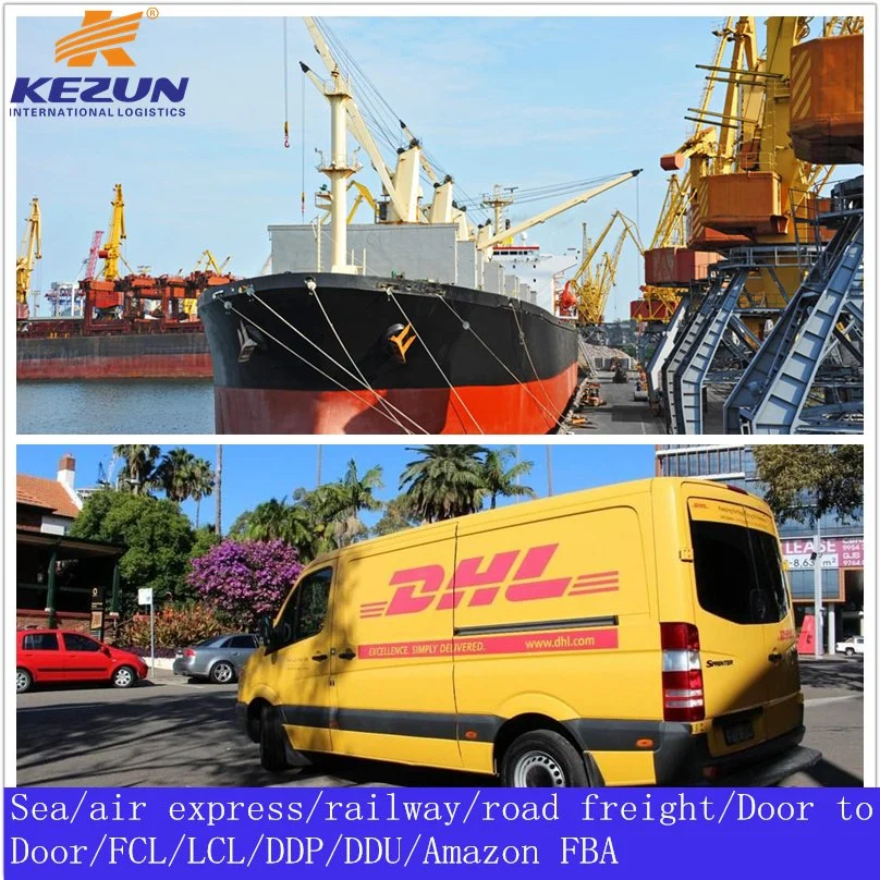 Logistique professionnelle Sea/Ocean Freight Shipping Company de Chine aux Seychelles Avec taxe/droits de douane