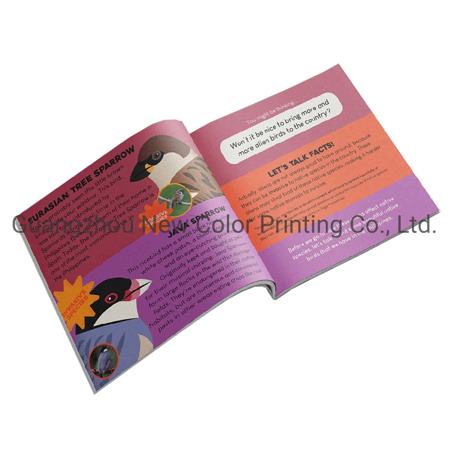 Rolling Paper Binder Booklet Manual Leaflet Printing