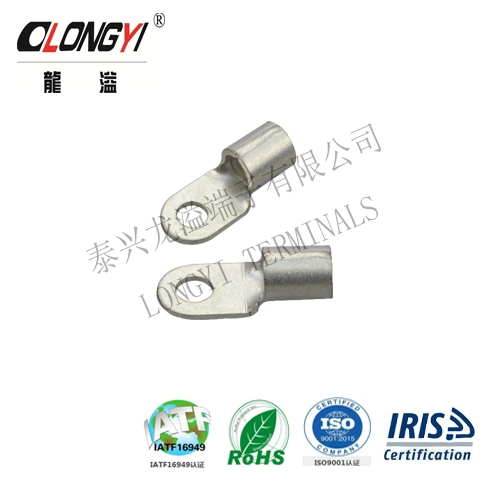 Non-Insulated Terminals, Ring Shape, T2 Copper, Tin Plating, Applicable to Wind Power Generation, Rail Transit Industry, German Standard Terminals