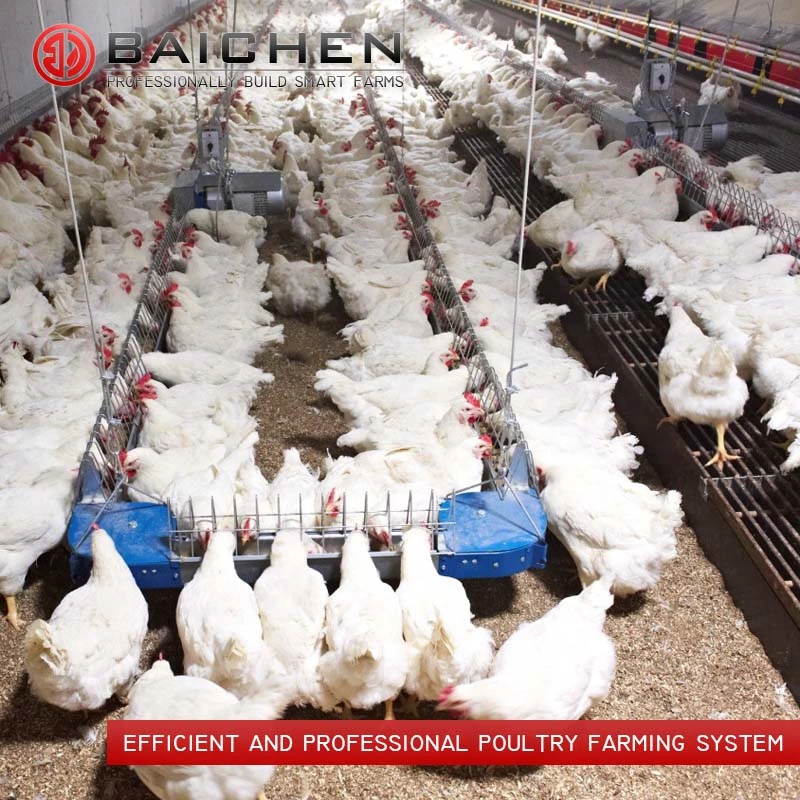 Equipos de la línea de alimentación de pollos de aves de corral el alimentador automático de la máquina sistema de cría de la granja