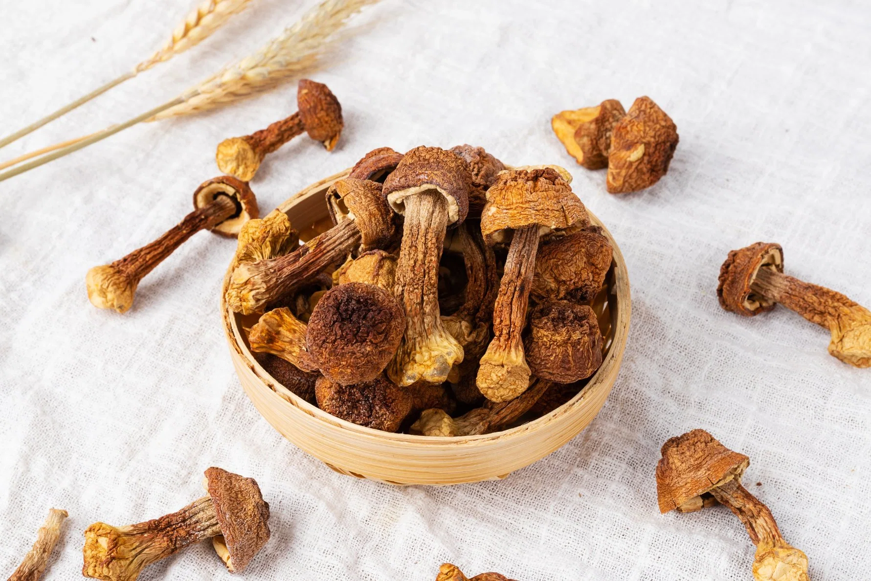 L'Agaricus blazei Murill naturel Extrait Extrait de plante de haute qualité