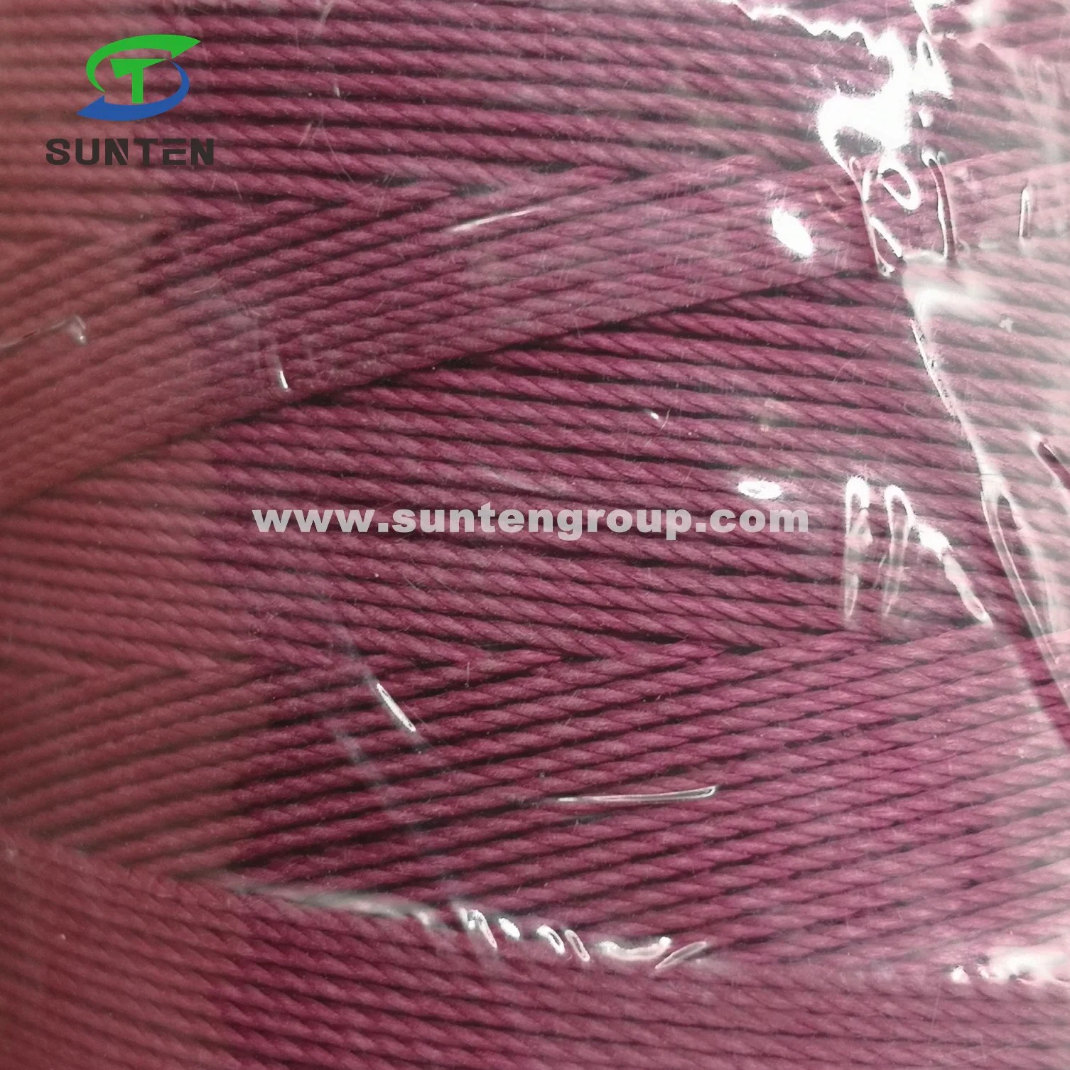 Norme européenne en PE rouge à haute ténacité/PP/polyester/nylon plastique tordu/tressés/presse à balles/emballage de thread/Ligne/ligne de filets de pêche (210D/380D) par le tiroir de commande/du rabatteur/de/bobine Hank