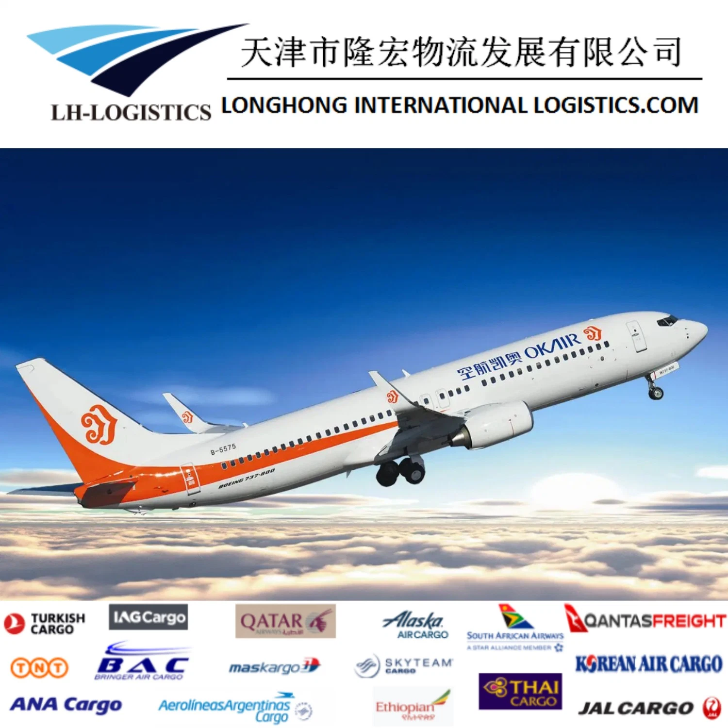 Professional Alibaba1688 Transporte aéreo/marítimo desde China a Nueva Delhi, Egipto, los Ángeles, Madrid y Londres