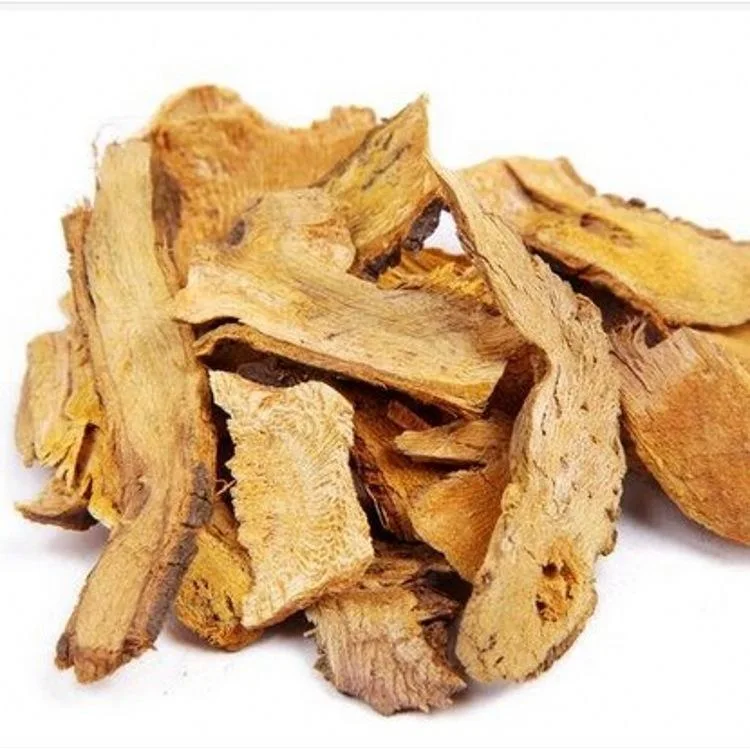 Anti-Aging Polygonum Cuspidatum Root Extract Powder Tran Resveratrol