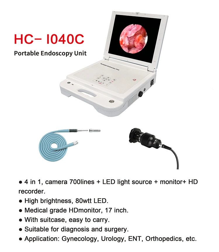 Hc-I040c Top Quality 17 Inch Big Screen LED Light Source Portable Rigid Ent Endoscope Camera