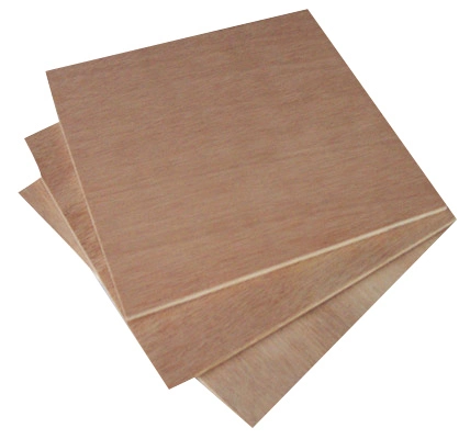 Red Harwod Plywood Poplar Core Mr Glue 6mm - 21mm