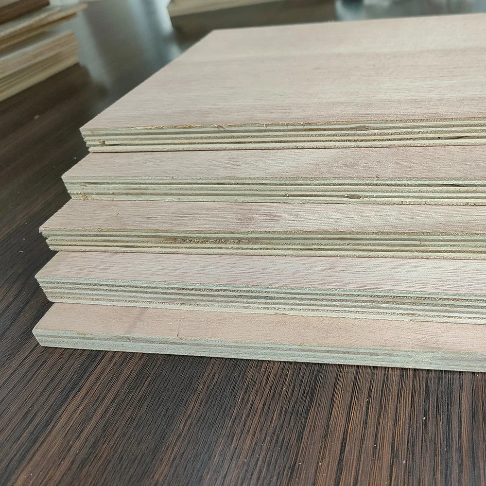 12 18mm Okoume/Bintangor/Pine/Birch/Poplar Furniture Plywood Manufacturing for Sale