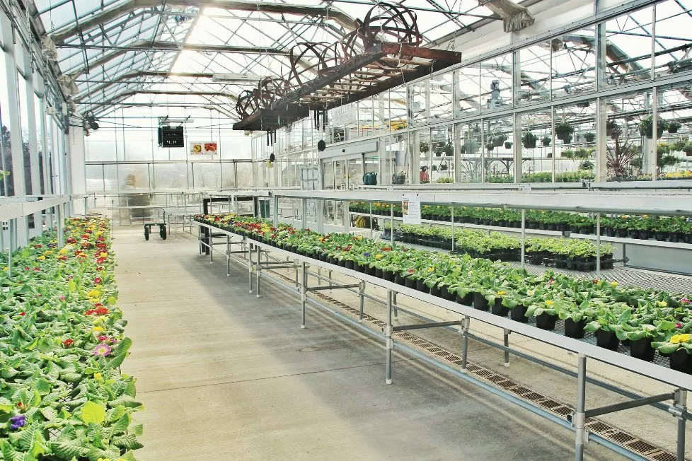 Agricultura moderna Multi-Span invernadero de vidrio a medida con sistema de hidroponía Calefacción Sistema para Verduras Frutas Flores Tomato arándano