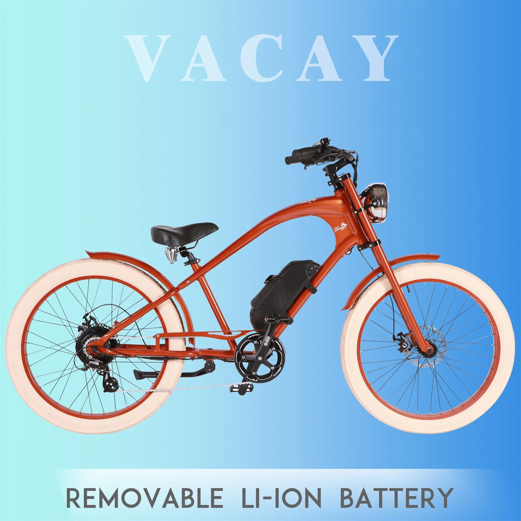 Europe Top Selling Electric Bike with CE / En15194 36V Li Ion Battery Removable Lithium Battery