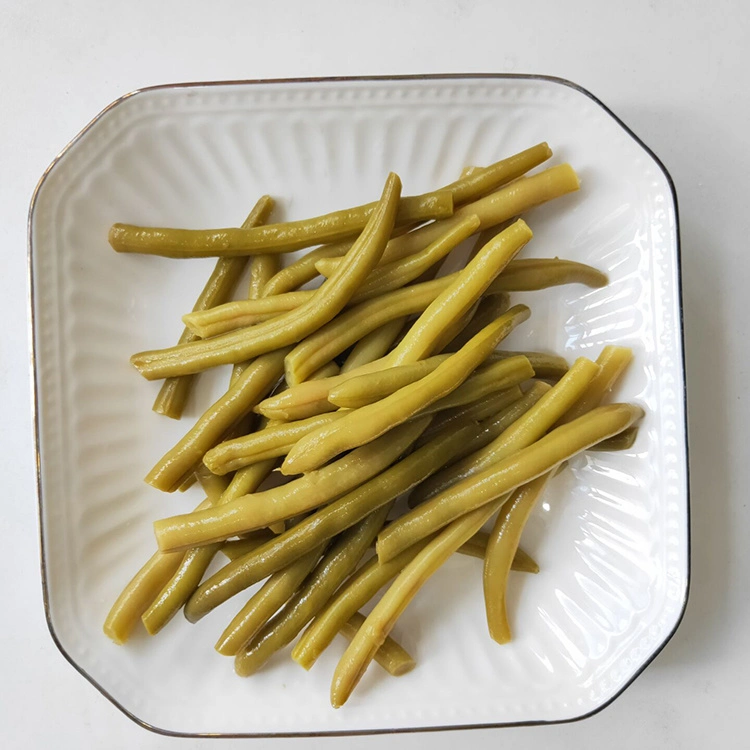 Canned Vegetable Fresh Green Bean with High Quality