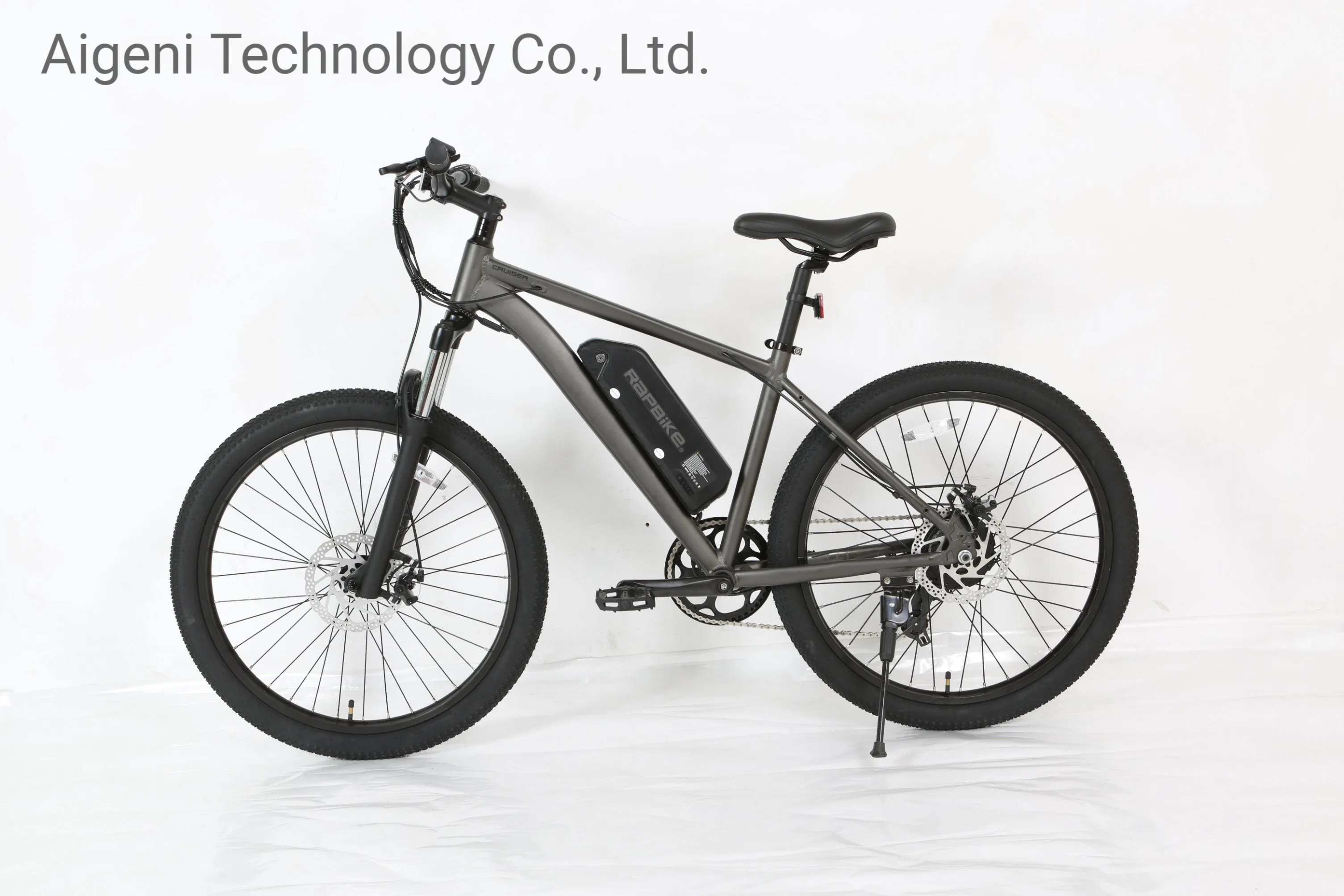 2022 Wholesale Economical Electric Mountain Bike in Stock