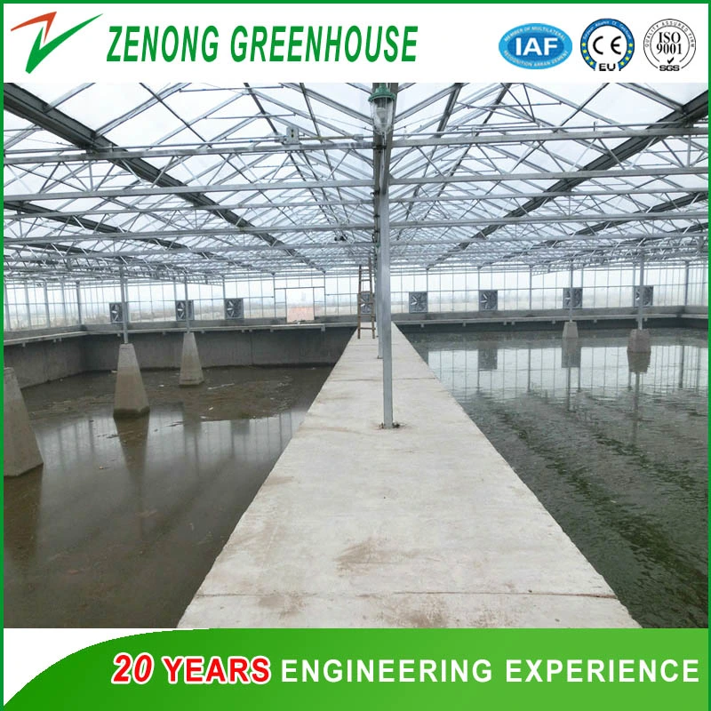 Farming/Fishing/Poultry Used Greenhouse PC Sheet Greenhouse with Misting Cooling System/Cooling Pad and Fan