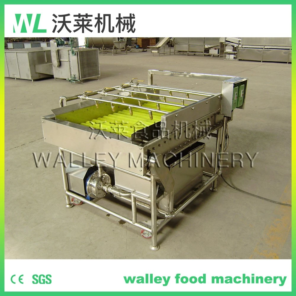 High Rebuy China Agricultural Industry Roller Brush Cleaning Machine