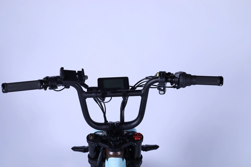 750W48V Cargo Elektro-Bike mit großer Batterie 5% Rabatt