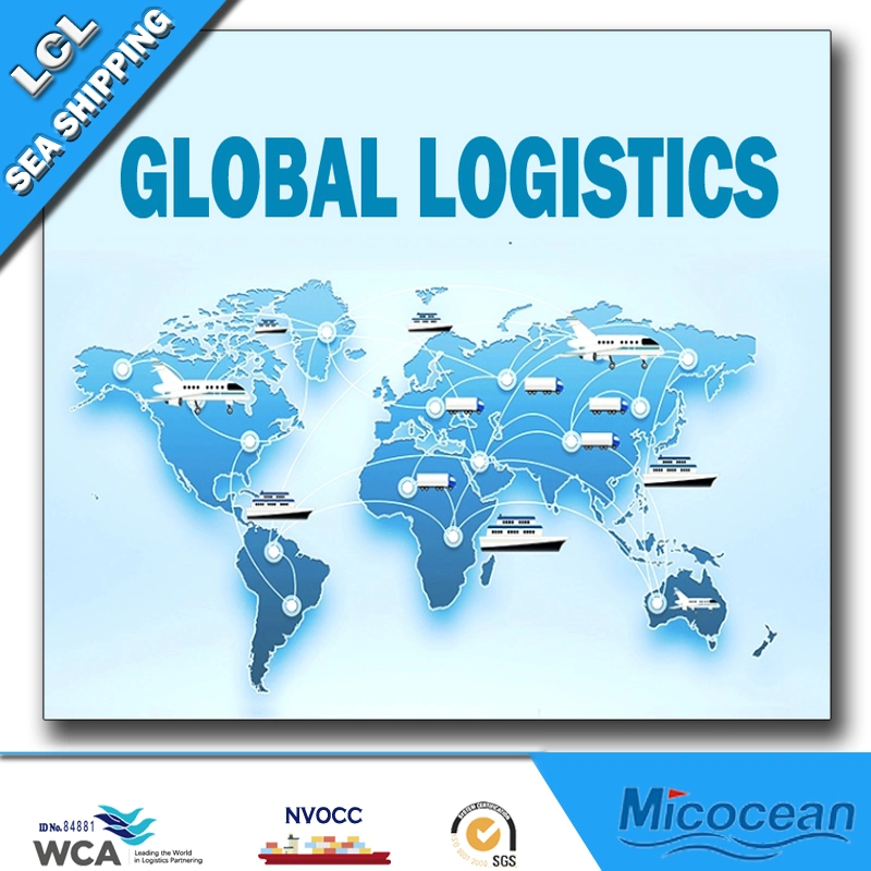 Professional Sea Shipping LCL Service, From China to Umm Qasar, Iraq