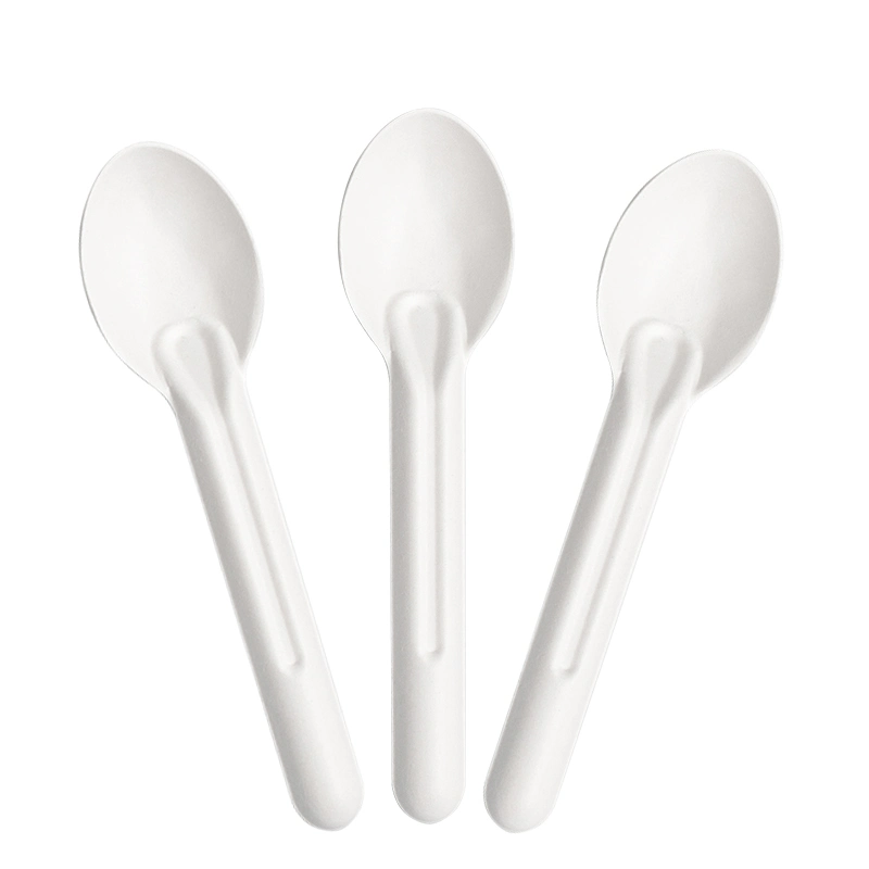 Biodegradable Disposable Sugarcane Bagasse Paper Cutlery Set Biodegradable Dinnerware