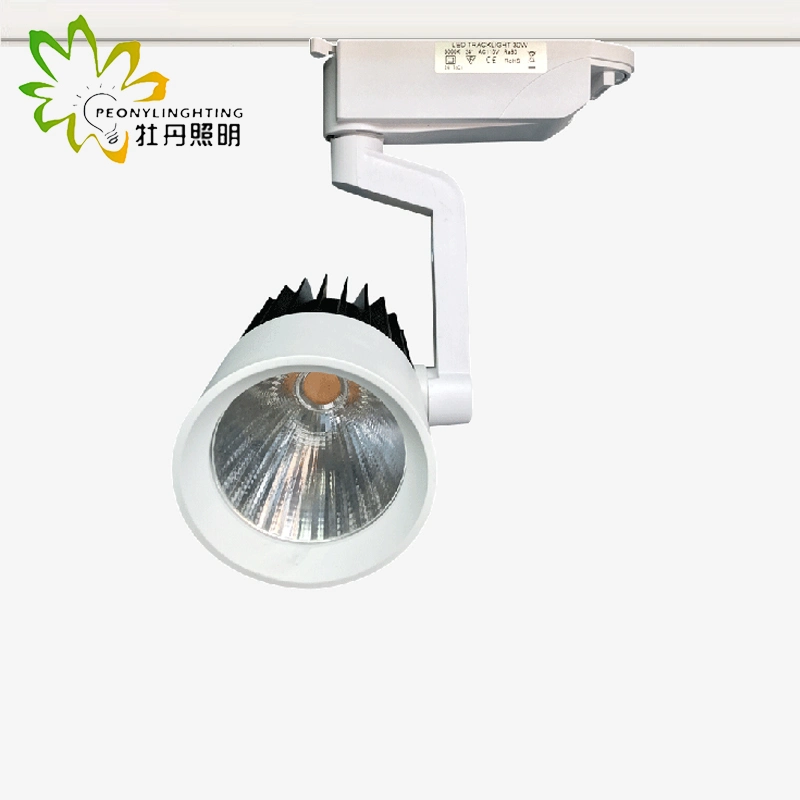 Cheapest 2 Wires COB LED Track Lamp 20W with 24 Degree Beam Angle