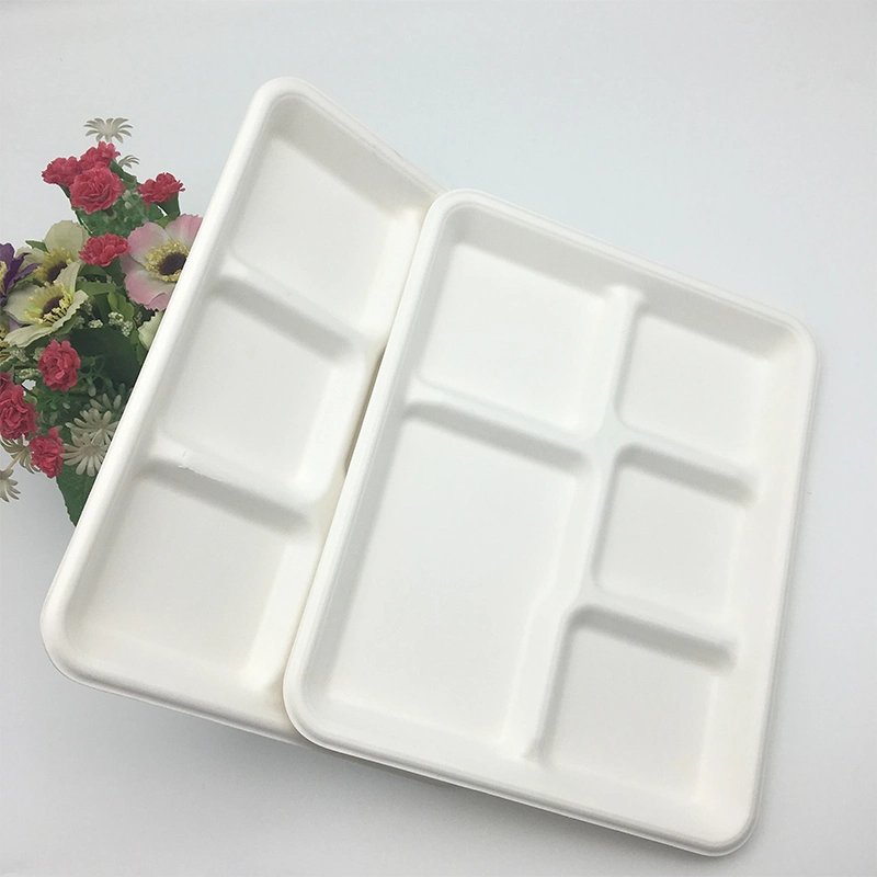 Plateau scolaire en bagasse compostable de 5cp pour l'emballage alimentaire.