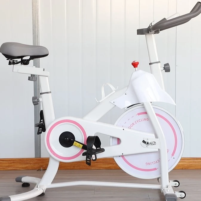 Indoor Fitness Health Cardio Training Static Cycle with Magnetic Resistance