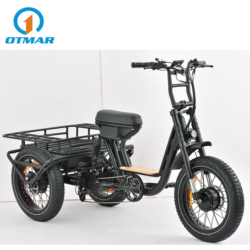 Nouveau style 3 roues motrices moteur 20 pouces tout-cargo électrique Tricycle Fat tire trois roues moto haute puissance adulte double Batterie suspension complète E Trike Wholesale/Supplier