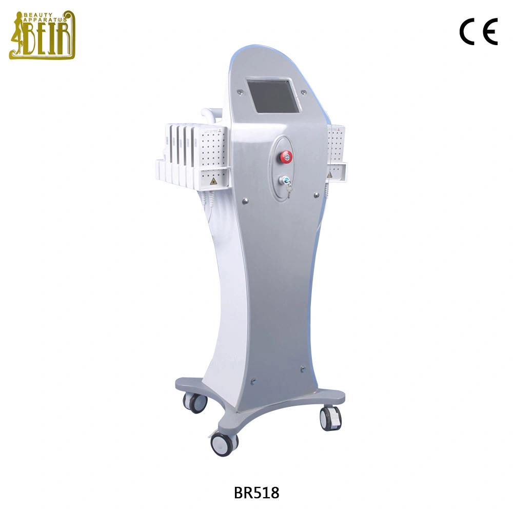 Vertical Dual Diodo Wavelength Precio De Lipolaser 650nm 980nm Lipo Laser Slimming Machine