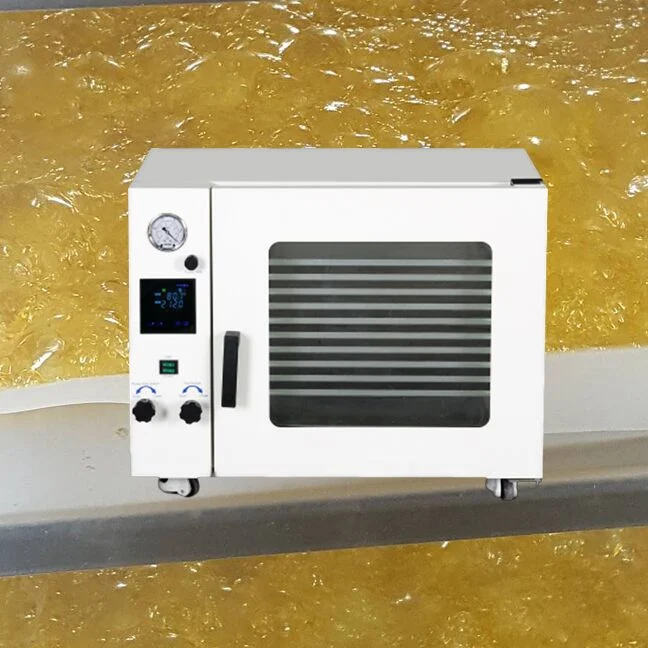10L Vacuum Drying Oven Fruit Vacuum Dryer Oven Machine Price