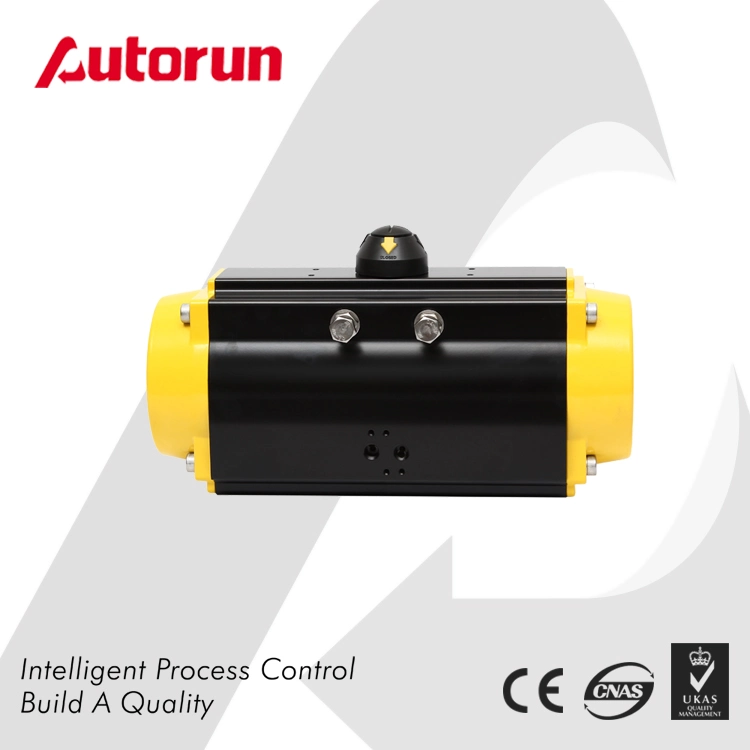 Chinese Wenzhou Manufacturer Rt Quarter Turn Pneumatic Actuator