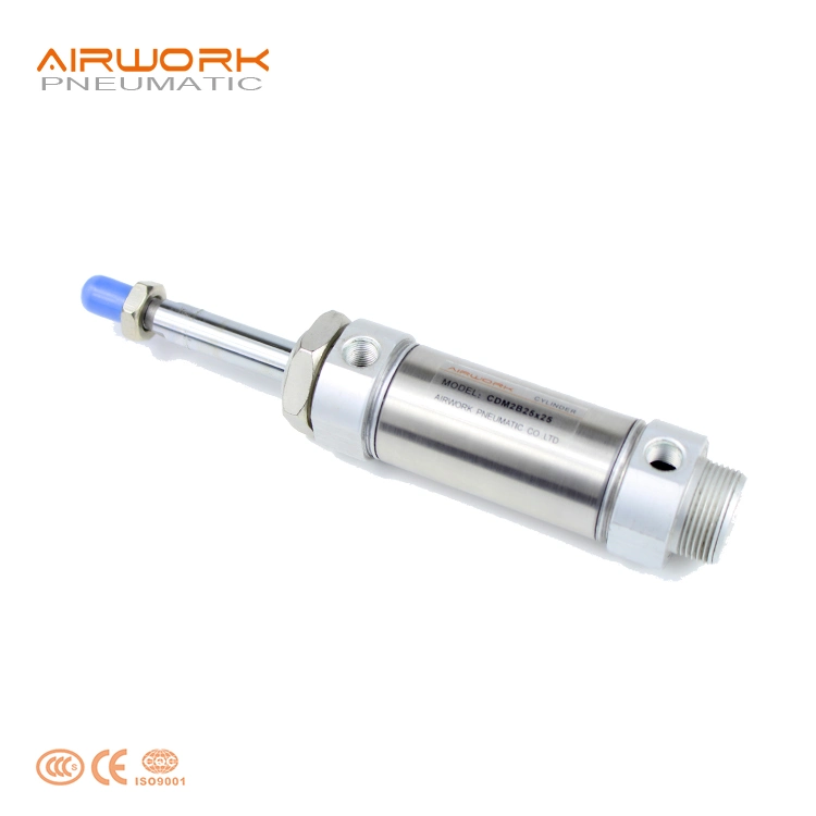 Cm2 Stainless Steel Mini Round Pneumatic Piston 25 mm Stroke Air Cylinder