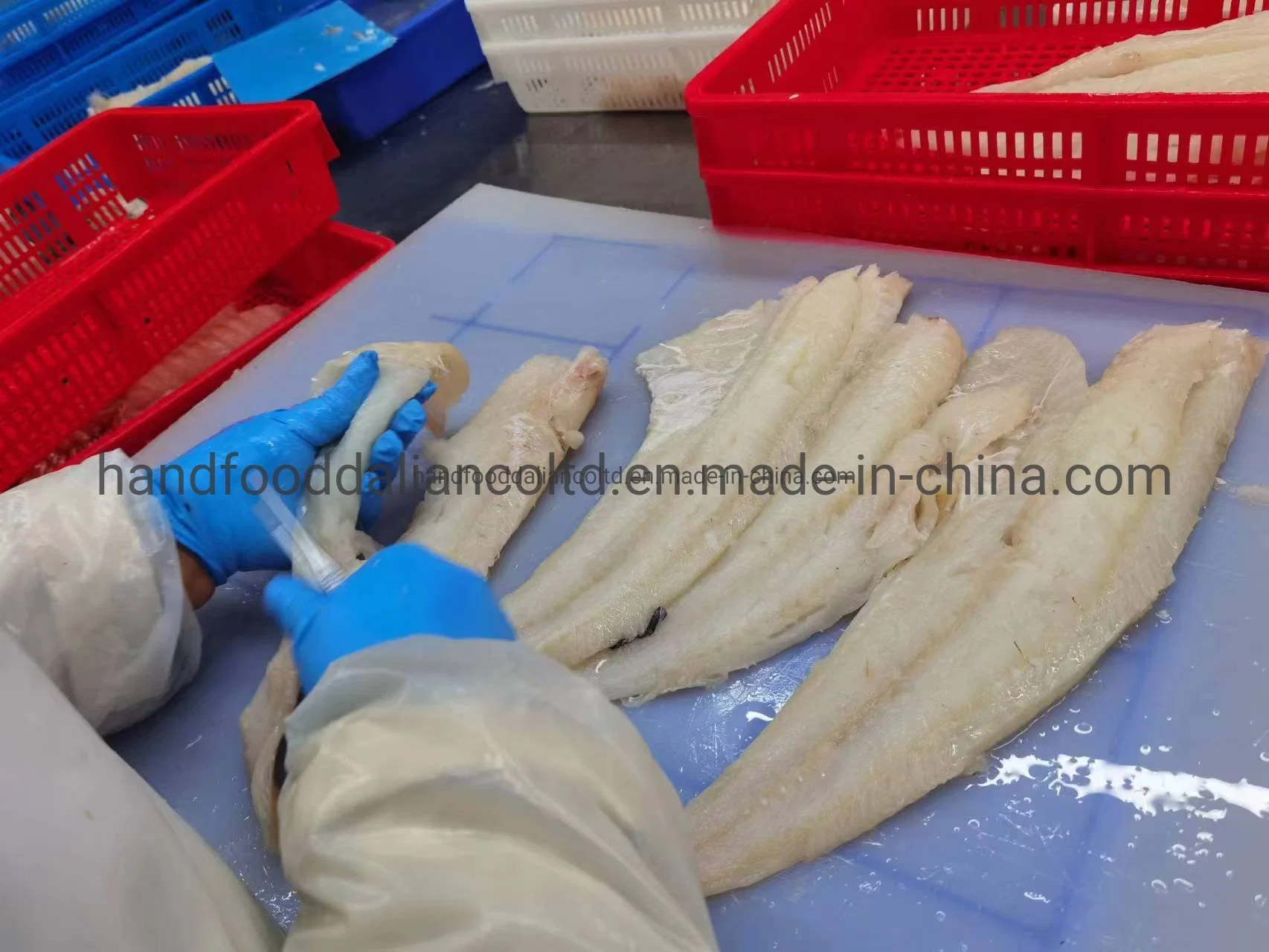 En bonne santé de fruits de mer congelés filets de morue du Pacifique (Gadus macrocephalus)