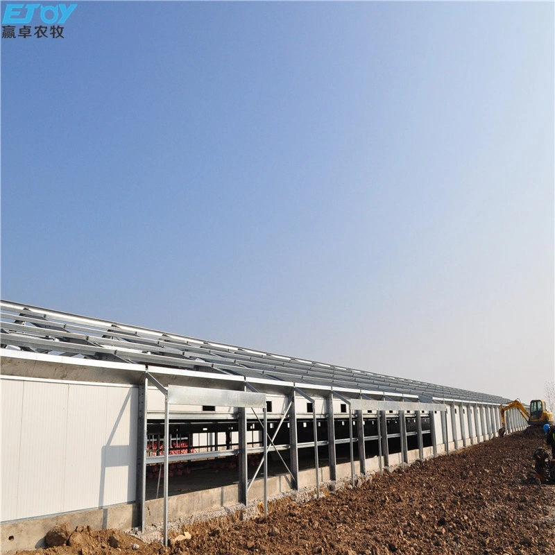 Steel Structure Poultry Farm House Construction with Full Set Poultry Farm Equipment