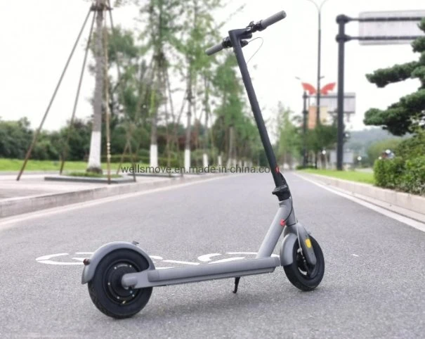 350W 36V 10pulgadas Trottinette Electrique Motor trasero de la batería de litio Scooter eléctrico