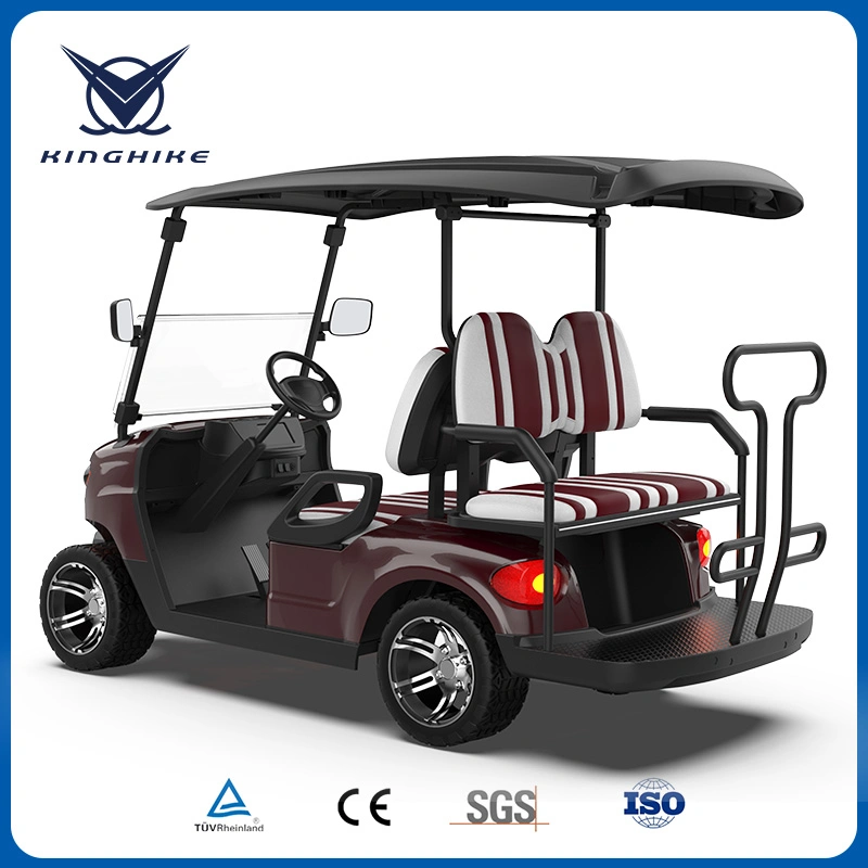 CE Approved Buggy/Golf Kinghike Packed and Loaded by Container Beach Cart Golf Carts for Sale